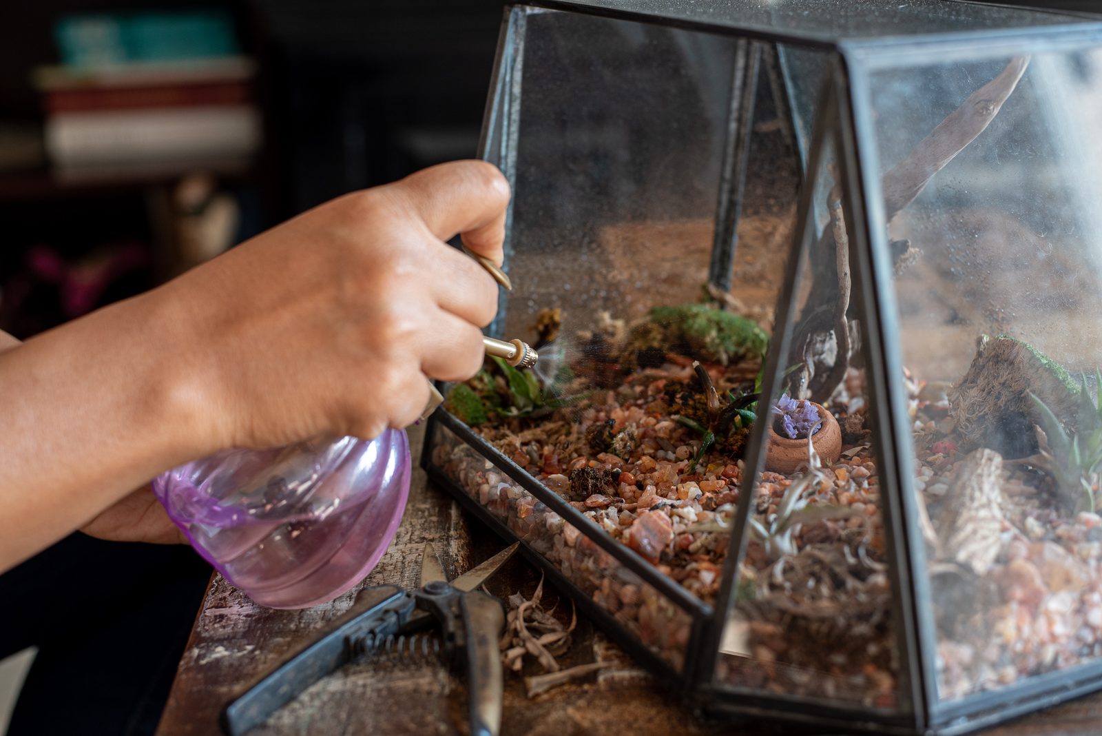 Seeds to sow