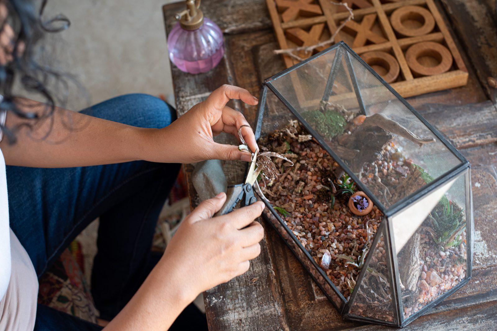 Trimming a terrarium display