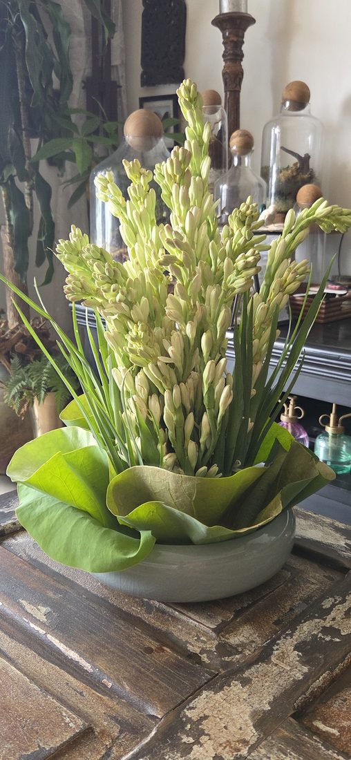 Tuberose arrangement in a ceramic bowl